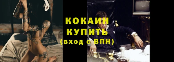 гидра Липки
