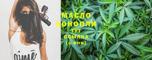 гидра Липки
