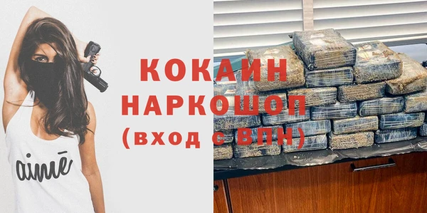 гидра Липки