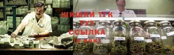 гидра Липки