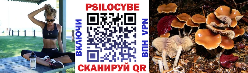 Псилоцибиновые грибы прущие грибы  Великий Новгород 